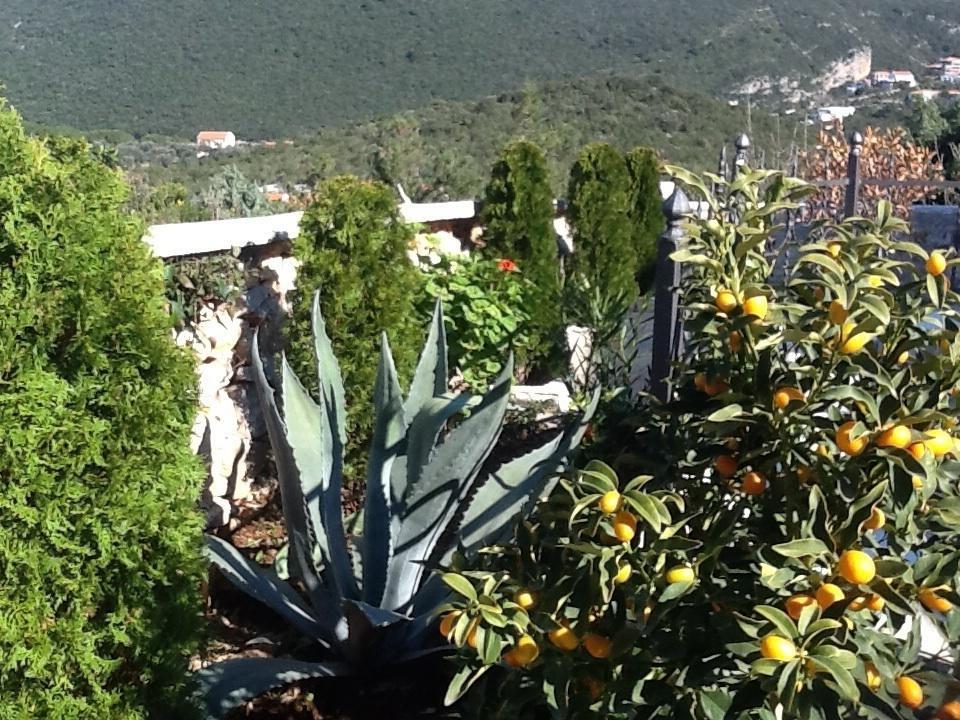 Villa Mirista 卢什蒂卡 客房 照片